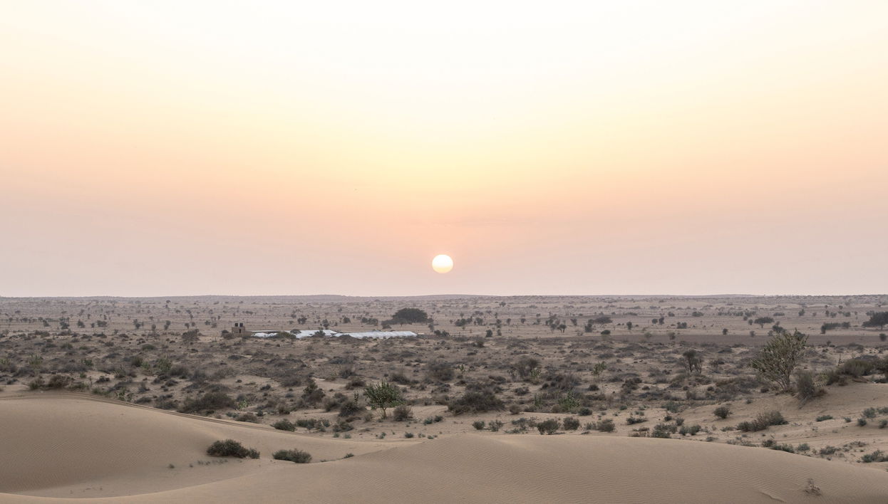 Thar Desert Tour - Foto 1