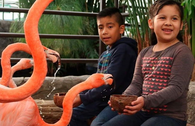 Acuario Michin Puebla Ticket - Foto 2