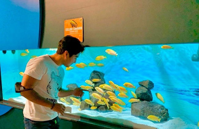 Acuario Michin Puebla Ticket - Foto 4
