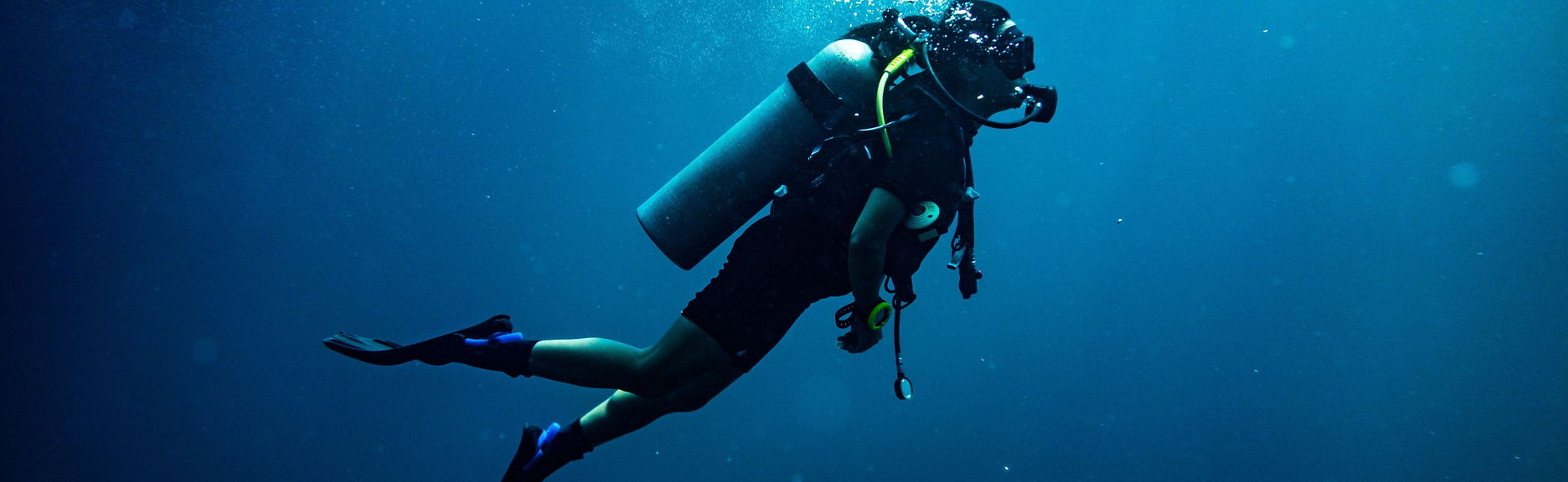 Buceo en Portobelo - Foto 1
