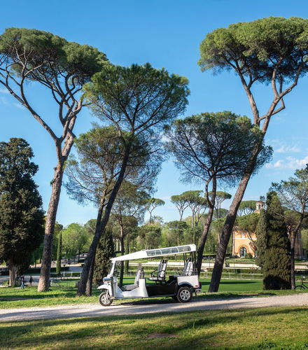 Foto de Tour privado en tuk tuk por Roma