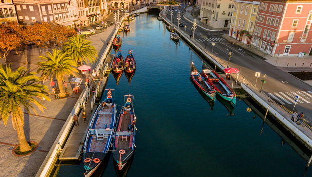 Aveiro Wine Tasting - Foto 4