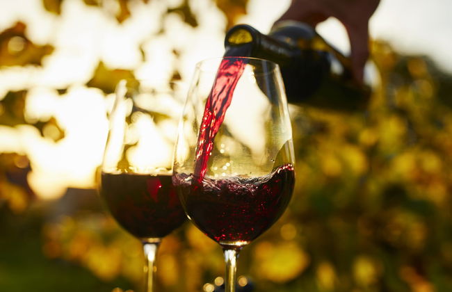 Aveiro Wine Tasting - Foto 6