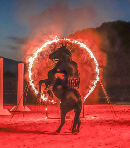 Foto de Entrada al espectáculo Gran Circus Maximus con cena