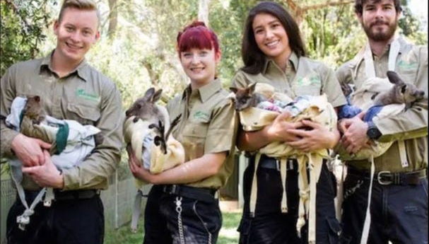 Excursion privée aux Blue Mountains - Photo 1