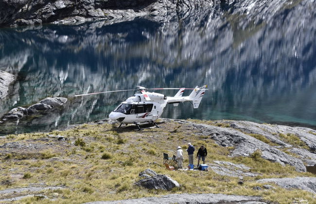 Fiordland National Park Helicopter Ride - Photo 3