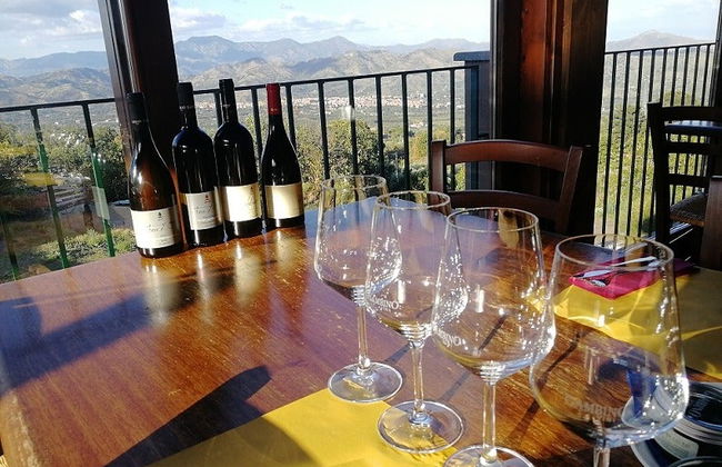 Visita a una bodega del Etna - Foto 5