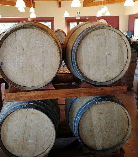 Foto de Visita a una bodega del Etna