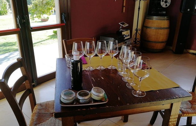 Visita a una bodega del Etna - Foto 3