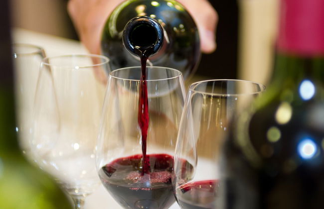 Cata de vinos en Bolonia - Foto 6