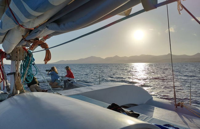 Sunset Dolphin Watching in Puerto Calero - Photo 2