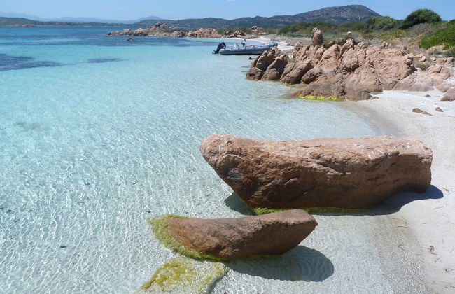 Snorkeling in the Tavolara Protected Marine Area - Photo 2