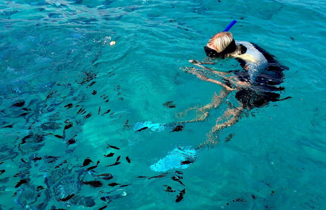 Snorkeling in the Tavolara Protected Marine Area - Photo 5