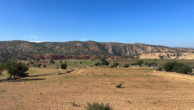 Excursión a Tiznit + Desert Safari - Foto 4