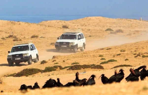 Escursione a Tiznit + Desert Safari - Foto 1