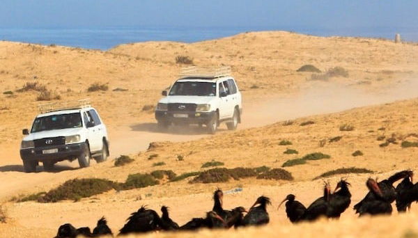 Tiznit Tour + Desert Safari - Photo 1