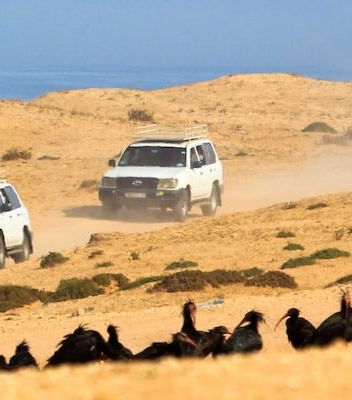 Foto de Excursión a Tiznit + Desert Safari