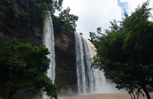 Excursion aux cascades de Boti et au jardin botanique d'Aburi - Photo 3