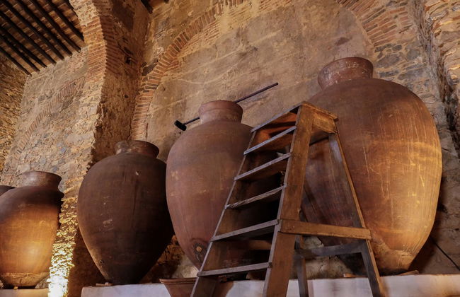 Visita a la bodega Grande Prova Honrado - Foto 3
