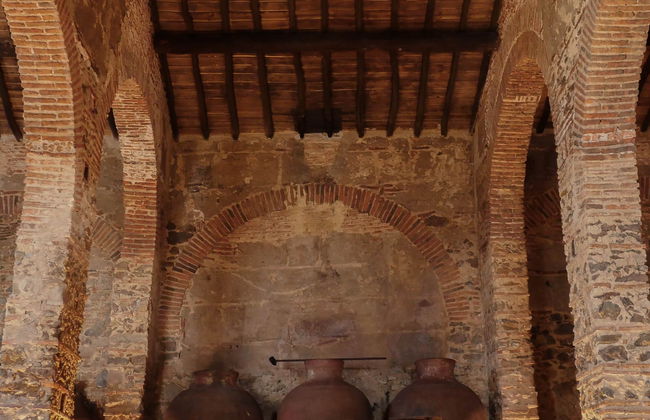 Visita a la bodega Grande Prova Honrado - Foto 4