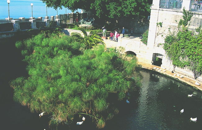 Excursión a Siracusa y la isla de Ortigia - Foto 7