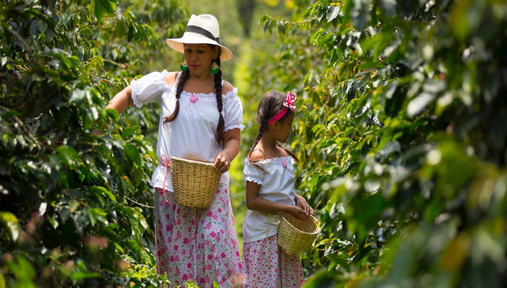 Visita a una finca cafetera de Salento con almuerzo - Tour a pie de medio día - Foto 1