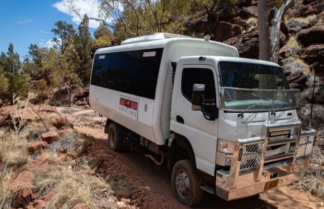 Excursión de día completo a Palm Valley y ruta 4x4 - Foto 4
