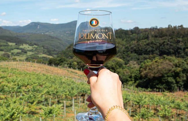 Visita alla cantina Jolimont - Foto 9