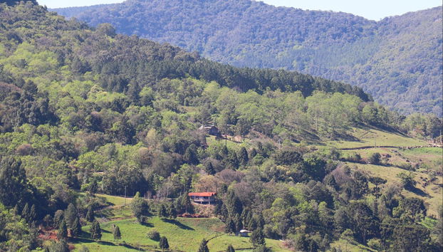 Paisagens que cercam a vinícola