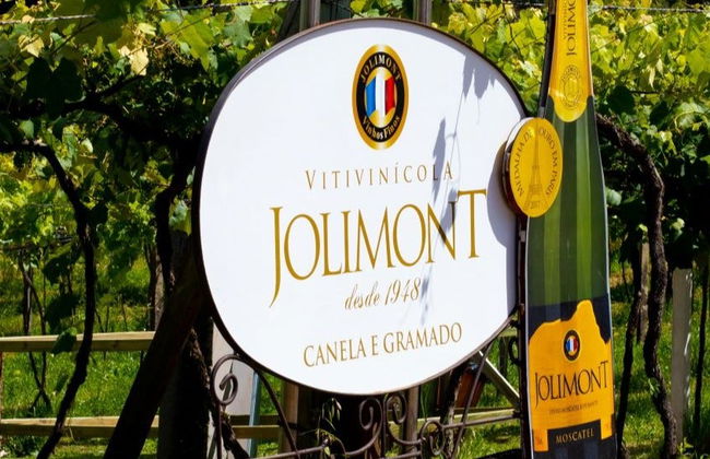 Visita alla cantina Jolimont - Foto 12