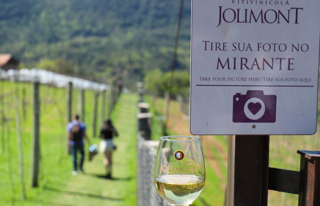 Visita alla cantina Jolimont - Foto 6