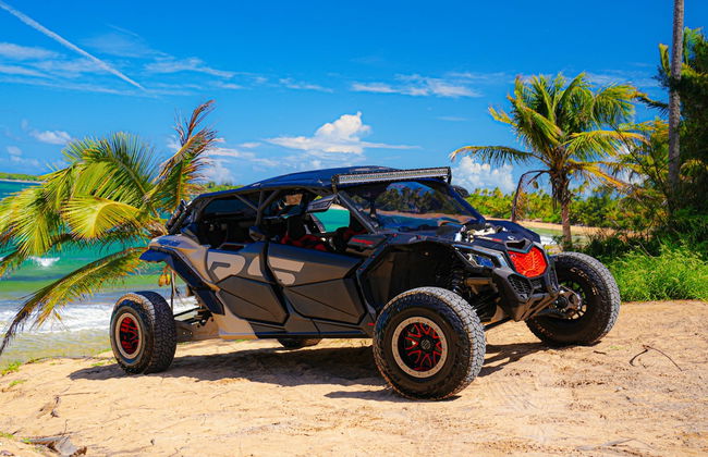 San Juan Buggy Tour - Photo 3