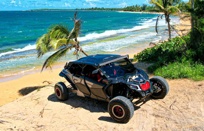San Juan Buggy Tour - Photo 6