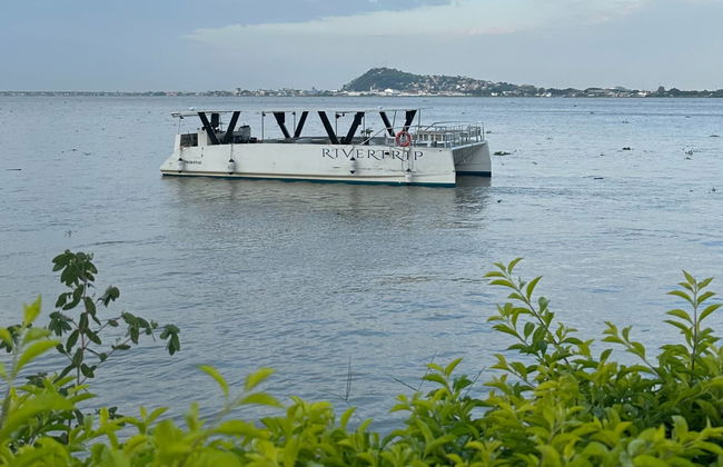 Paseo en barco privado por el río Guayas - Foto 3