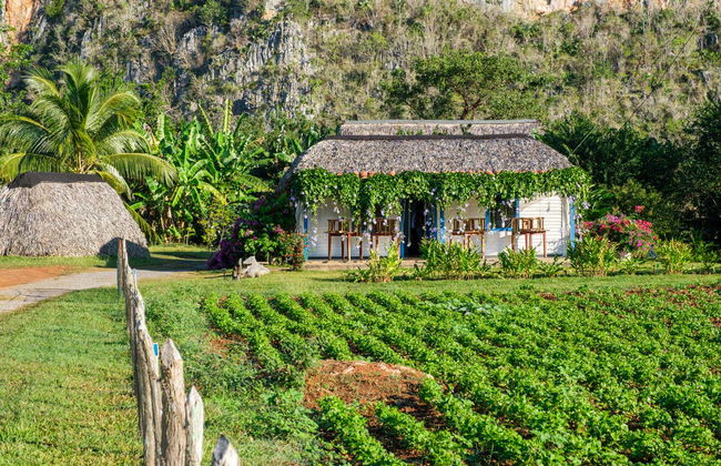 Viñales Coffee Tour - Foto 3