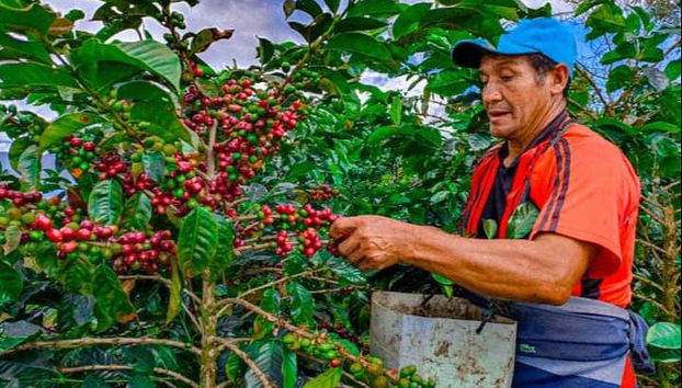 Tour del café por Viñales - Foto 2