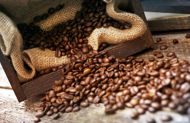 Viñales Coffee Tour - Foto 5