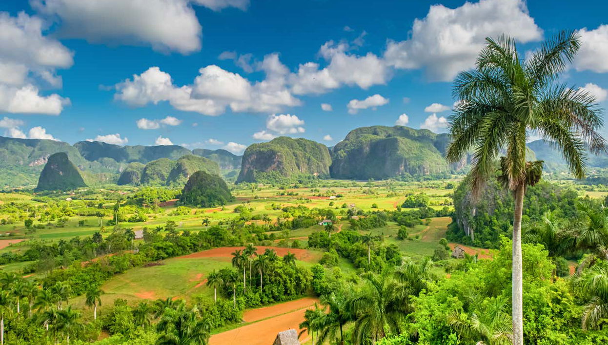 Tour del café por Viñales - Foto 1