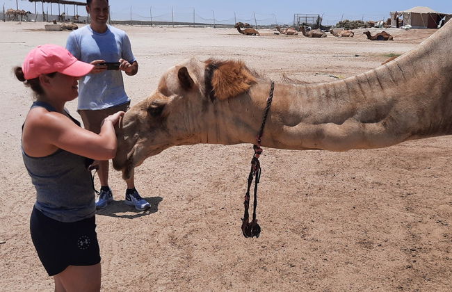 Sakhir Desert Excursion - Foto 3