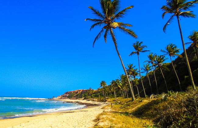 Pipa Quad Tour - Foto 6