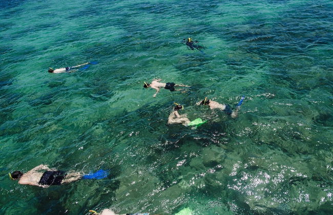 Excursão a Green Island - Foto 6