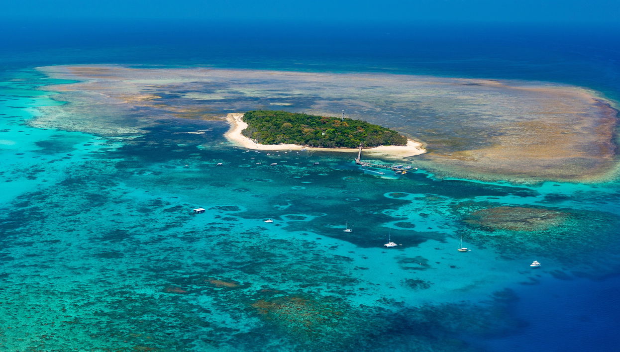 Excursión a Green Island