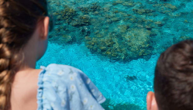 Escursione a Green Island - Foto 3