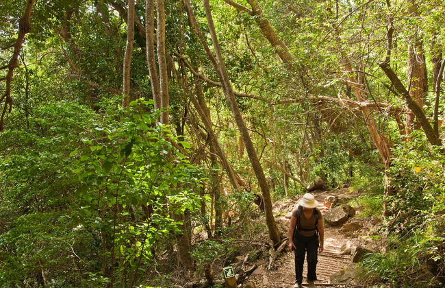 Trekking a Skeleton Gorge - Foto 2