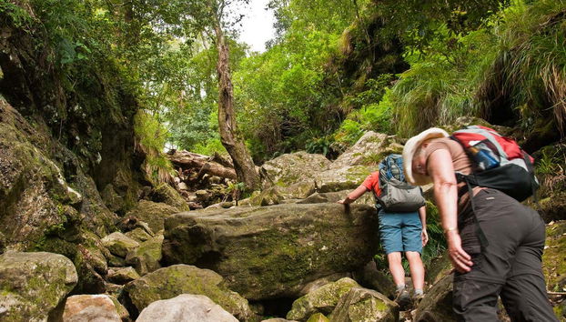 Skeleton Gorge Hiking Tour from Cape Town - Photo 5