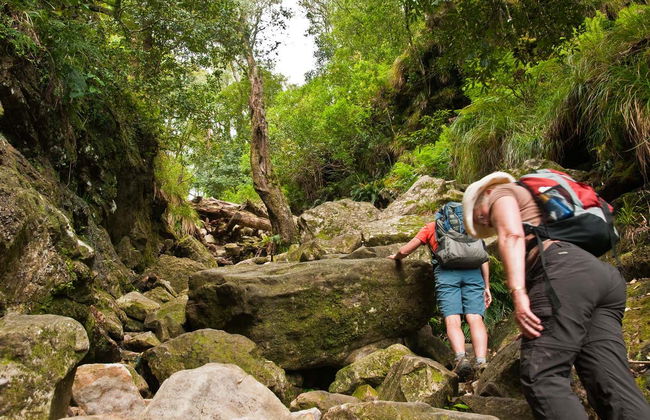 Randonnée dans la Skeleton Gorge - Photo 5