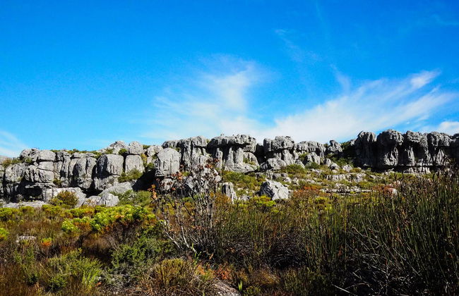 Trekking a Skeleton Gorge - Foto 5