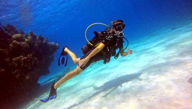Playa Coral Scuba Diving - Photo 4