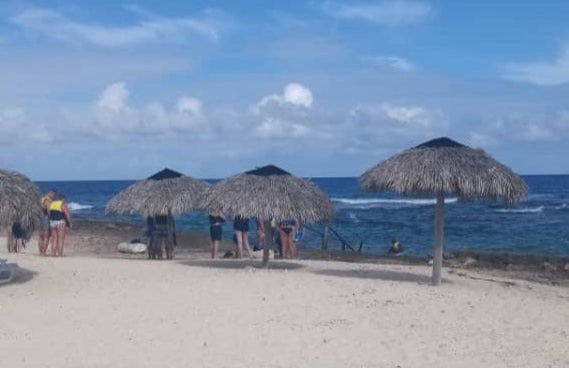 Buceo en la playa Coral - Foto 1