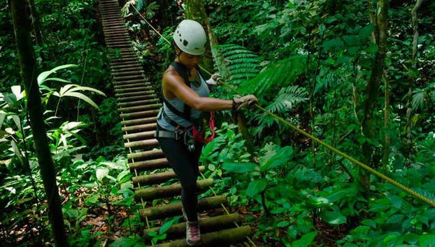 Zipline + Abseiling in Puerto Viejo de Limón - Foto 2